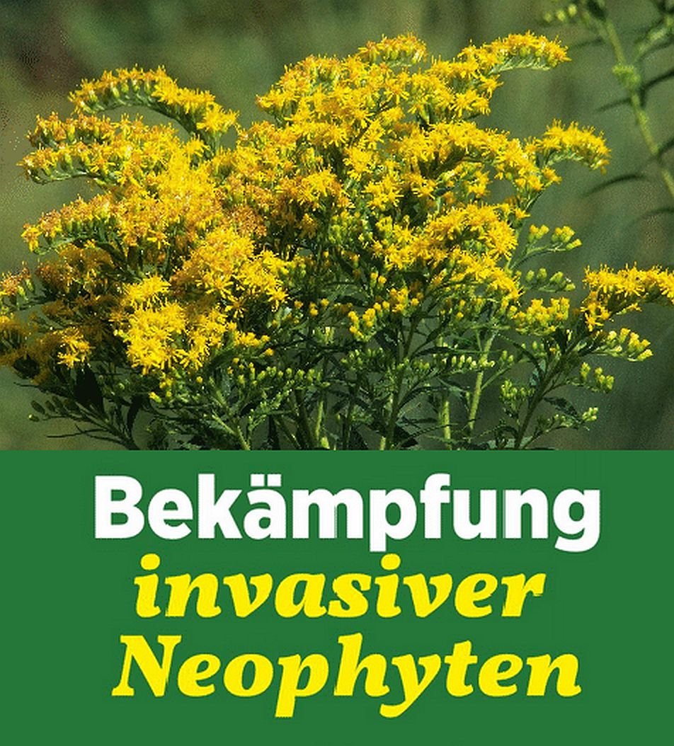 Vorlage Neophyten-Bekämpfung.jpg