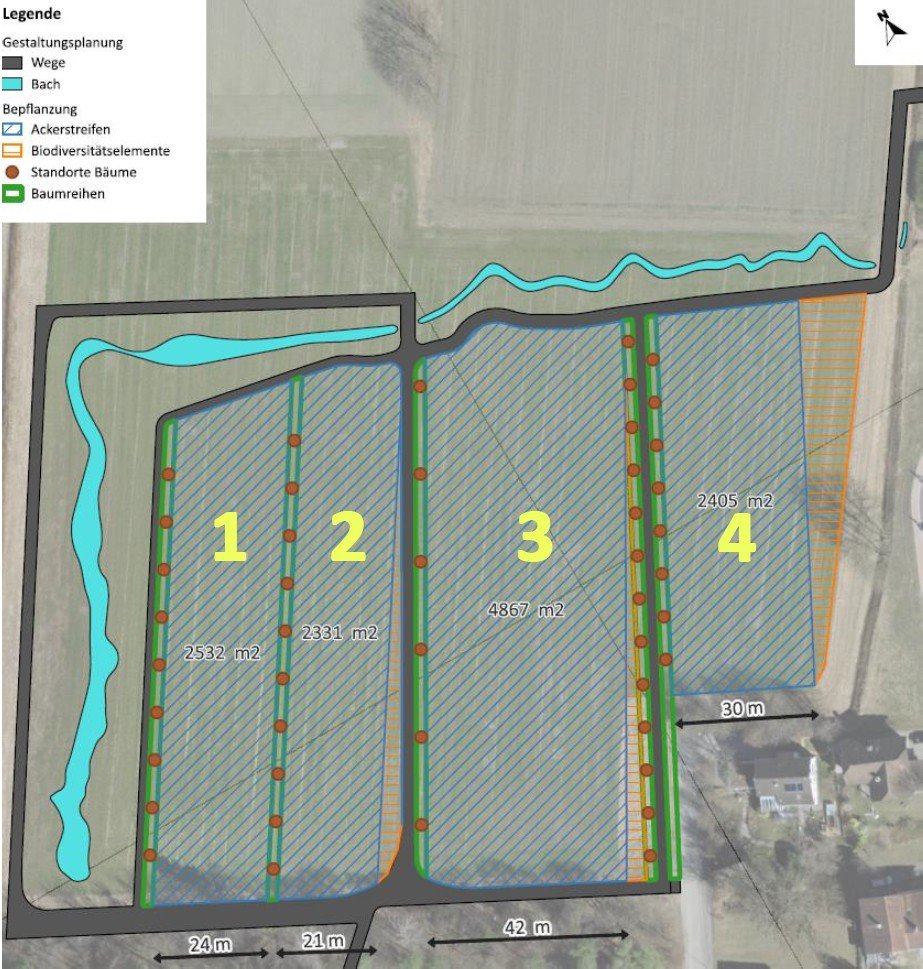 Aescherle Agroforstsystem.jpeg