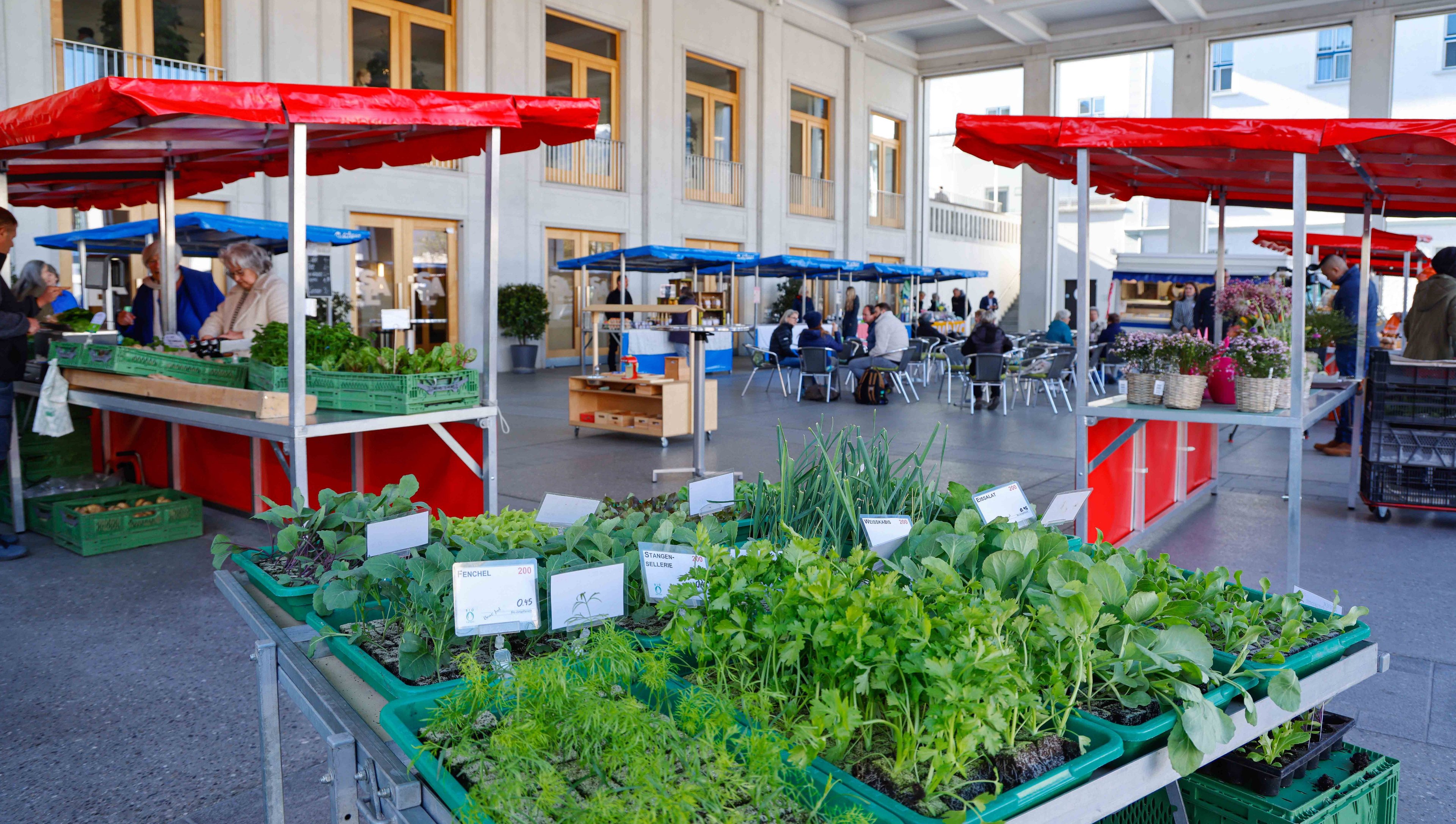 Termine / Veranstaltungen