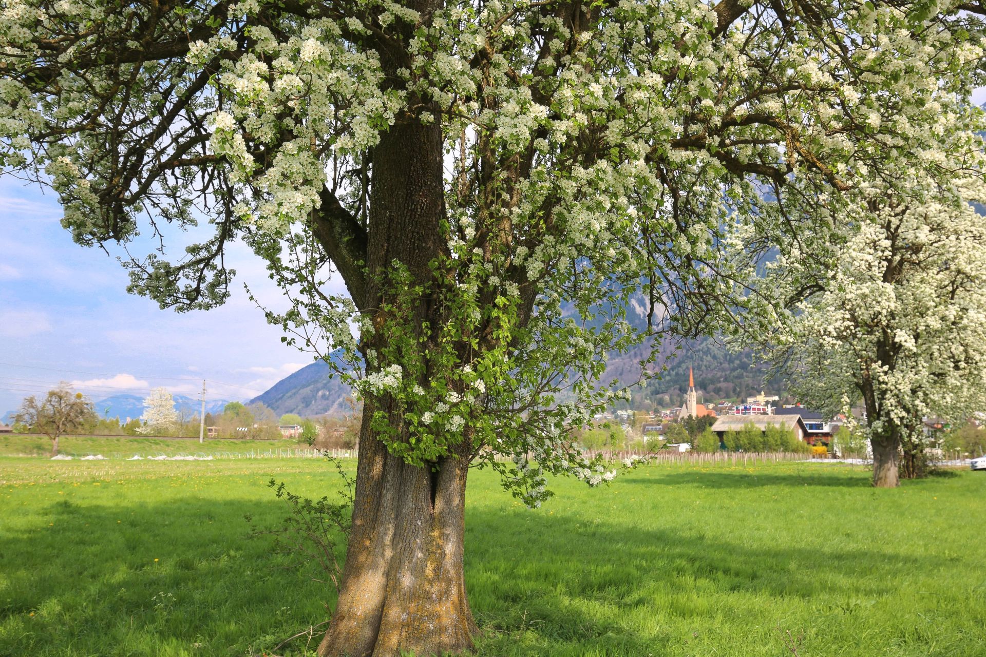 Natur und Landschaft