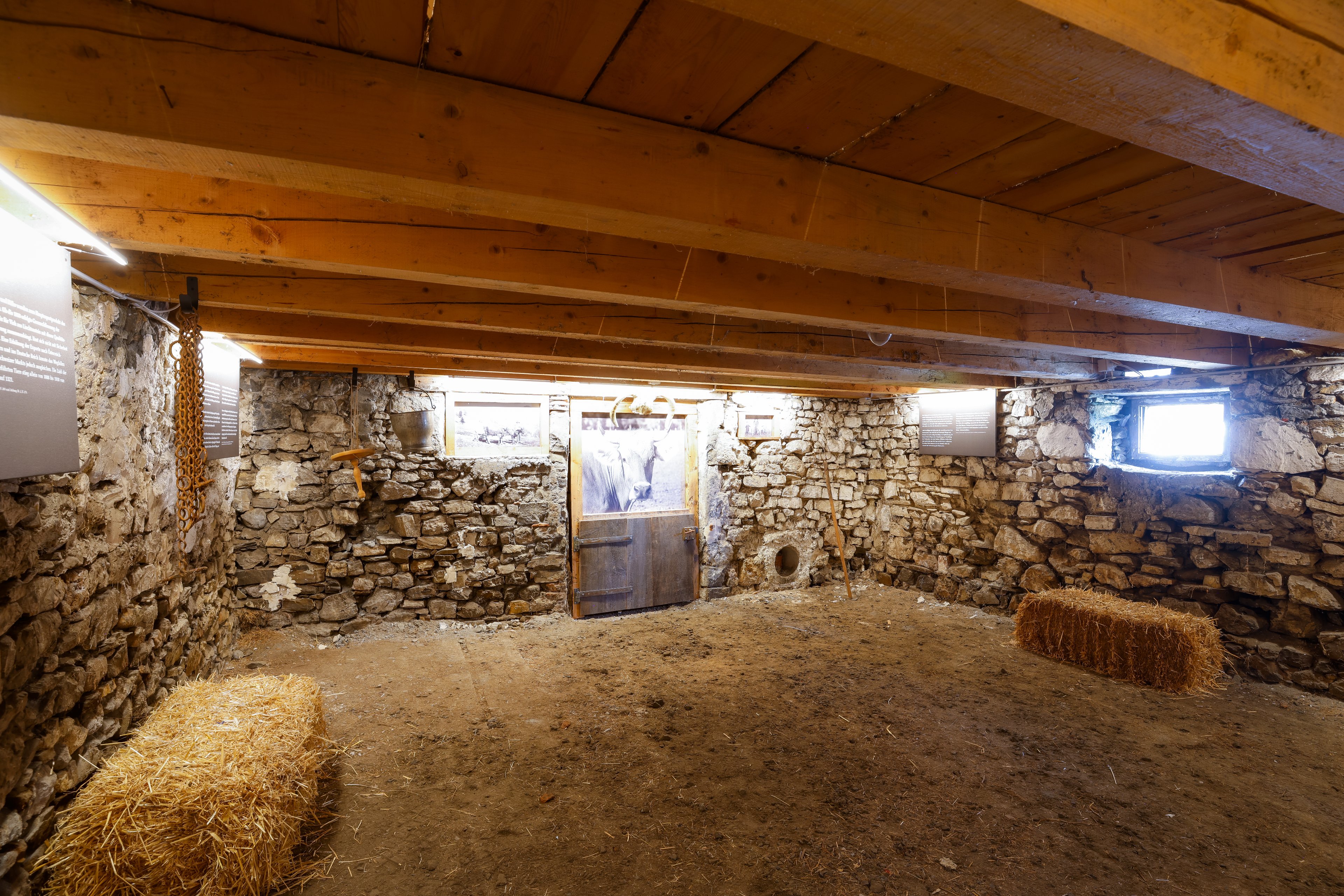 Stallgebäude in der Specki_10.jpg