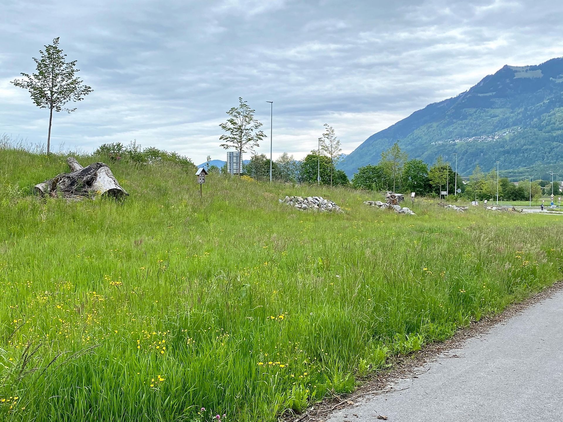 Betriebszentrum Post - Zollstrasse 1.jpg