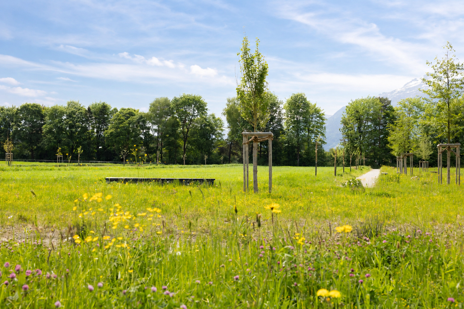 Park im Aescherle 2026.png