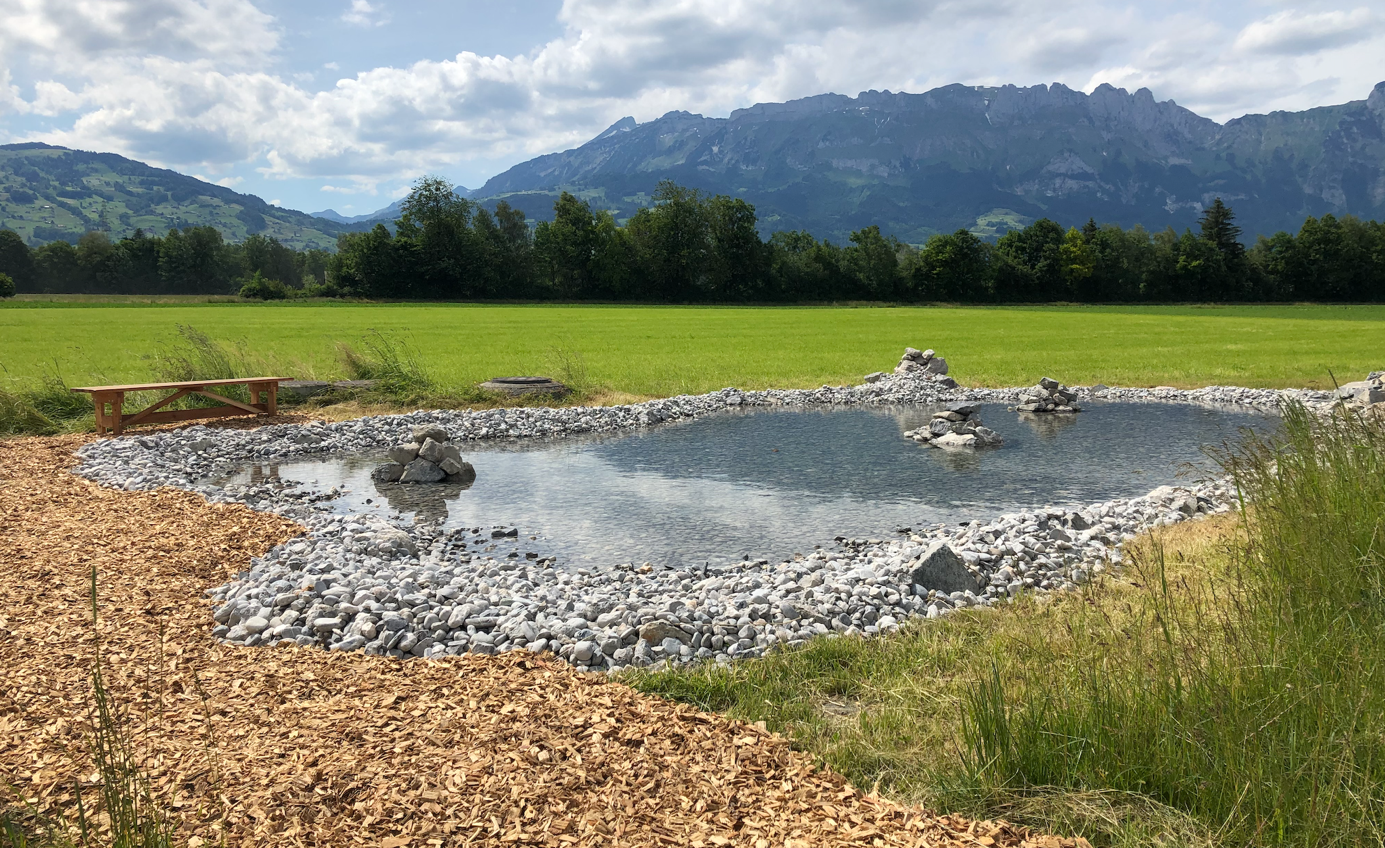 Wasserfläche Bovelweg.png