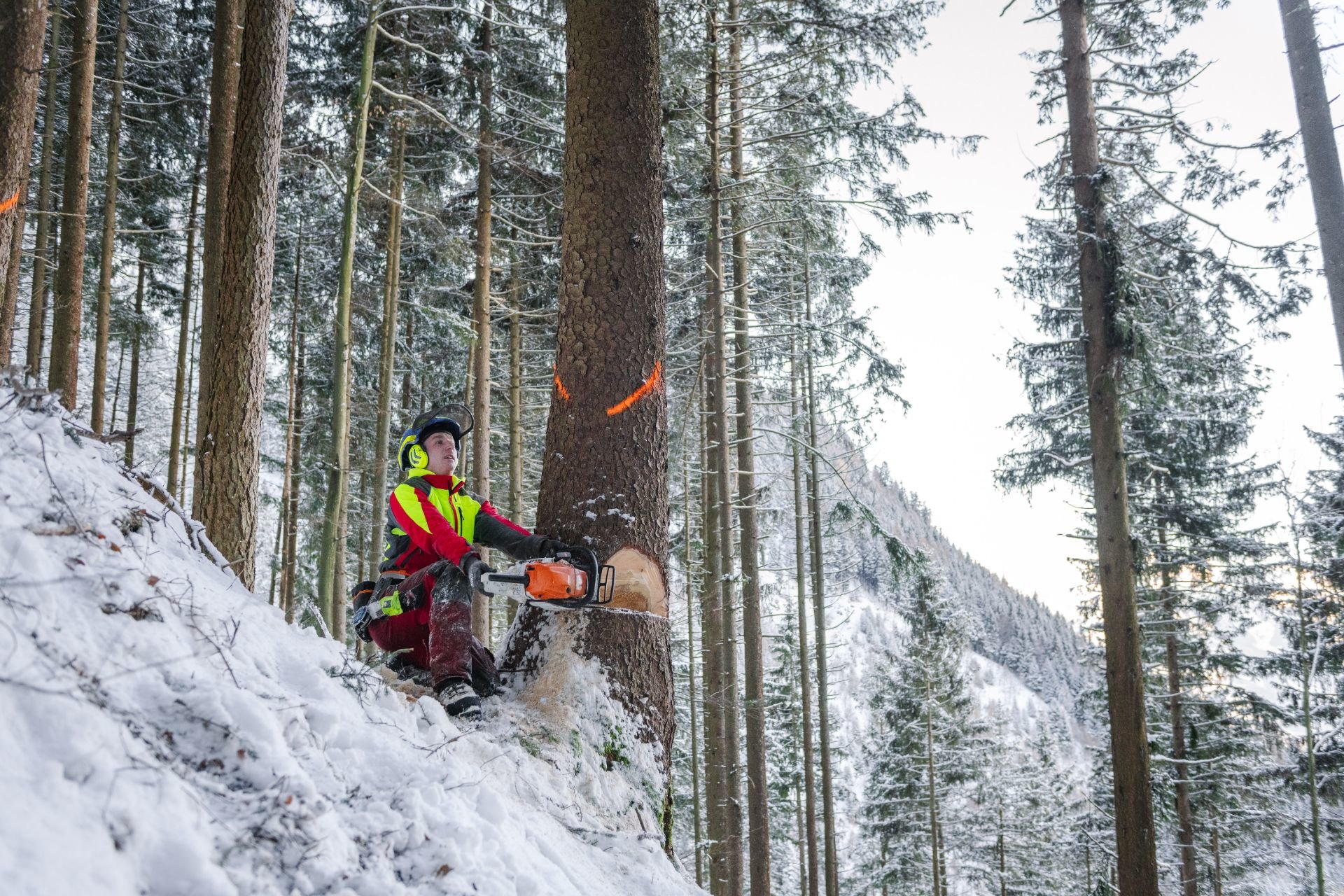 Auftaktbild_2021-12-03-Holzschlag-Planken-Gafadura-0040.JPG