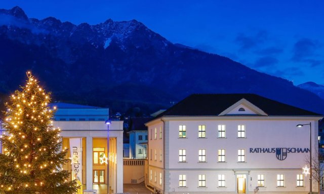 Rathaus mit Weihnachtsbaum.jpg
