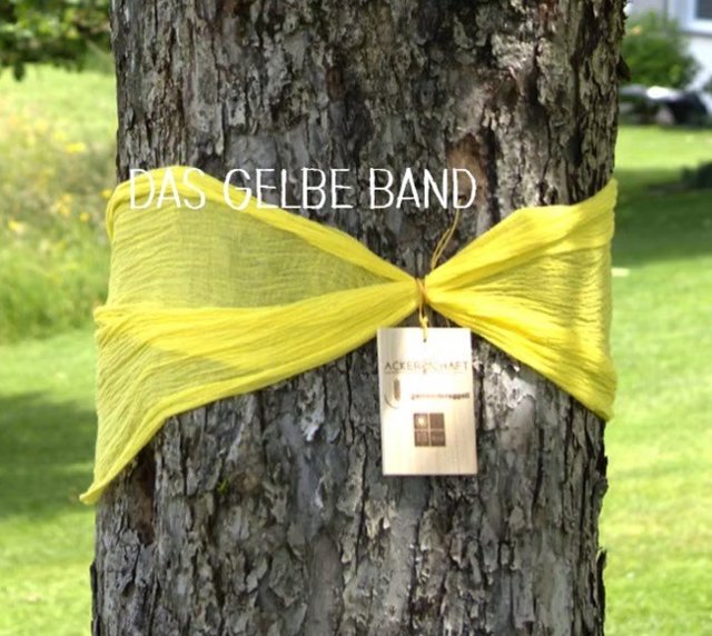 Gelbes Band.jpg