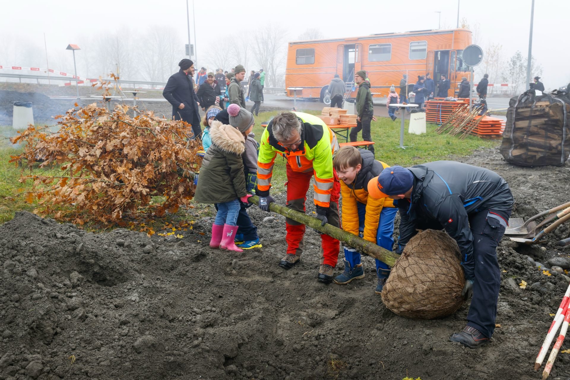 BAUMPFLANZEN_RI_3426.jpg