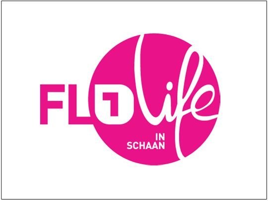 FL1 Life Festival.jpg
