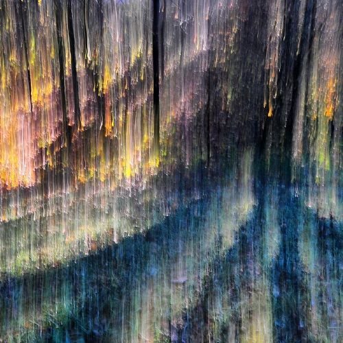 John Anthony McConkey 2016