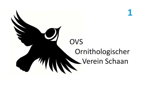 Logo Ornithologischer Verein.jpg