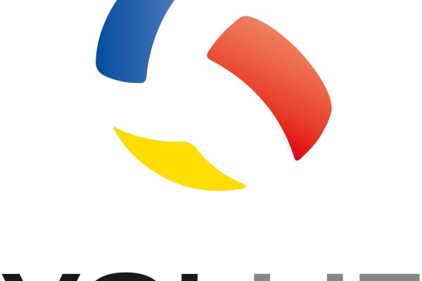 Logo VolLIE.jpg