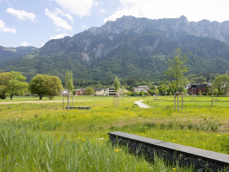 Park im Äscherle