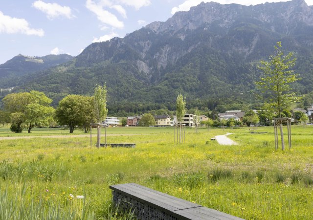 Park im Äscherle