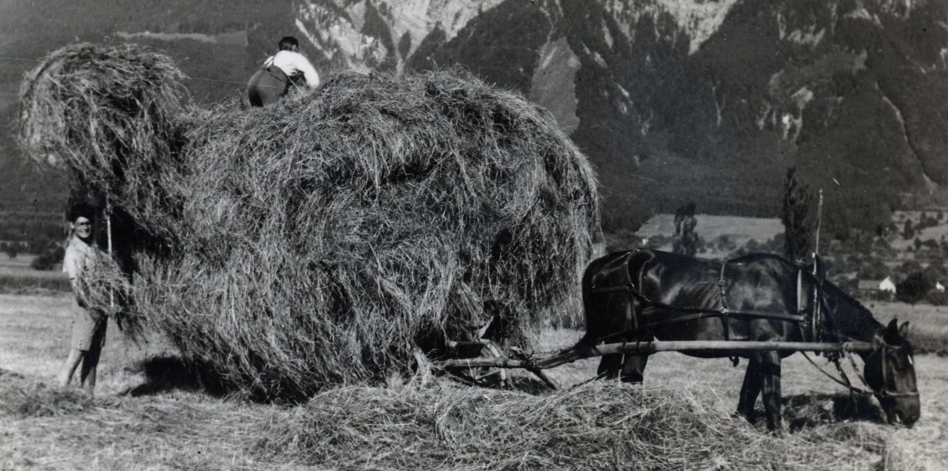 Schaaner Riet_Heuernte_Z_A_01 geschnitten 2.jpg