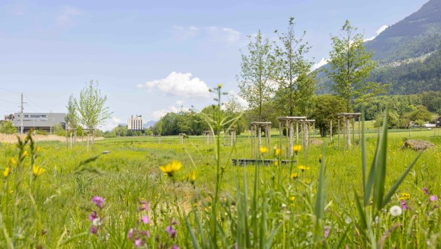 TS_20260509_AescherlePark_013_geschn.jpg
