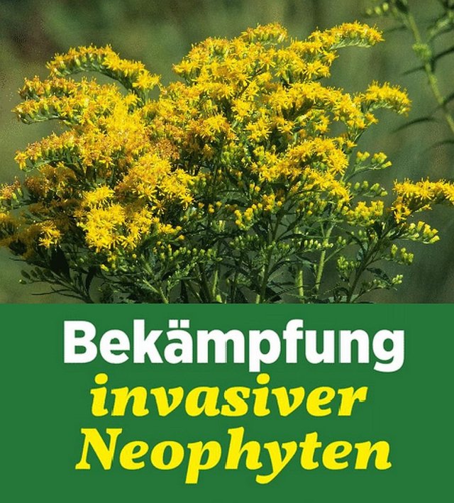 Vorlage Neophyten-Bekämpfung.jpg