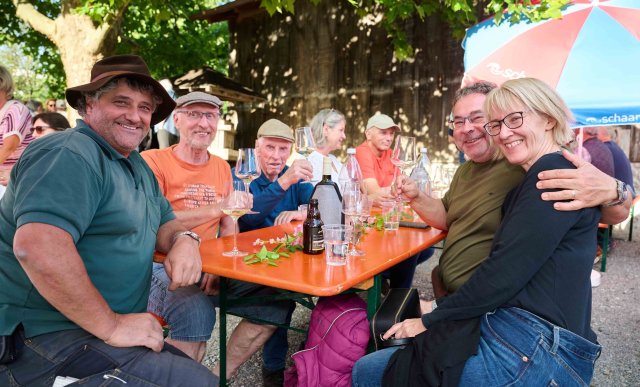 zam_20260822_weinfest_17421.jpg