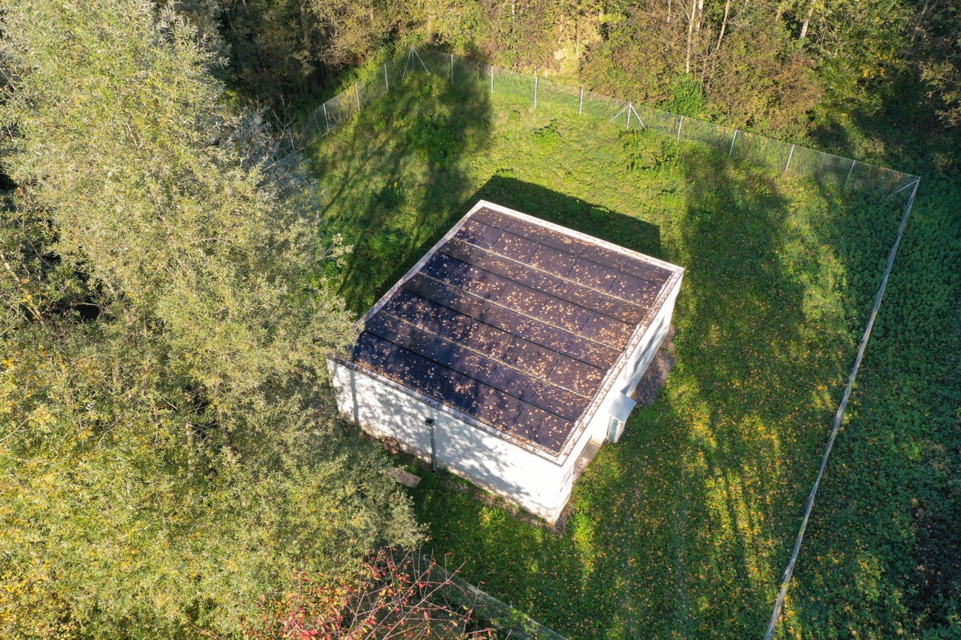 PW-WIESEN_DJI_0885.jpg