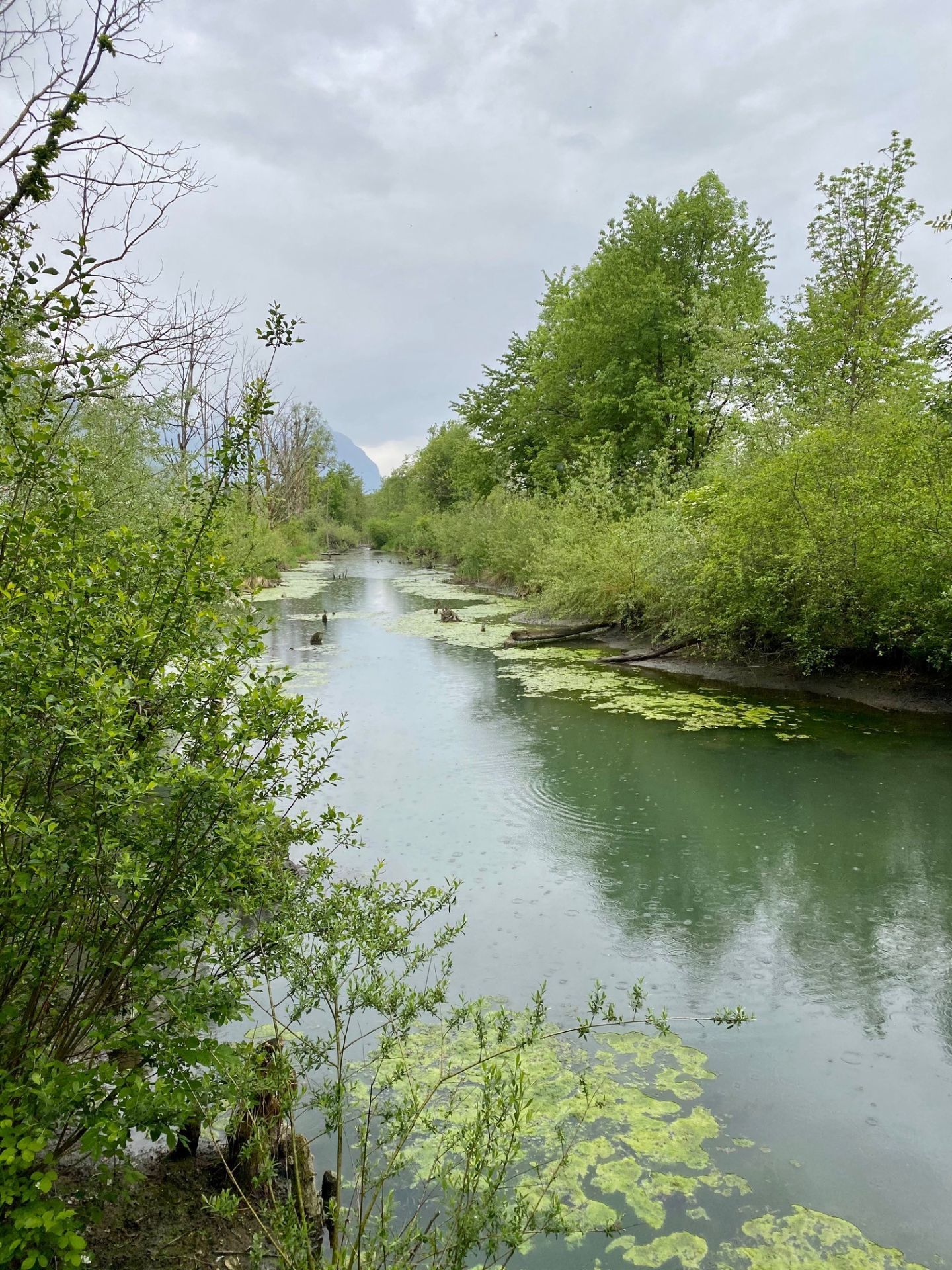 Kanal nord.jpg