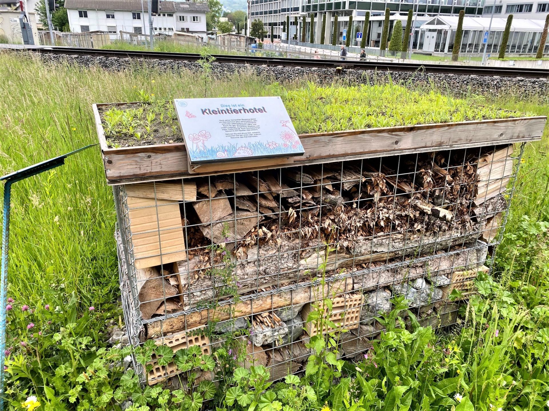 Rietgarten-Ivoclar.jpg