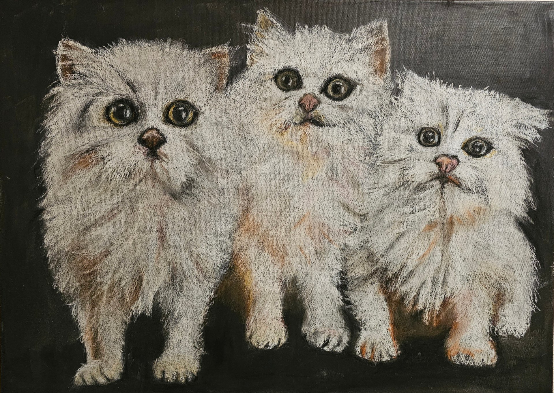 20251029_171005_Claudia Marxer.jpg