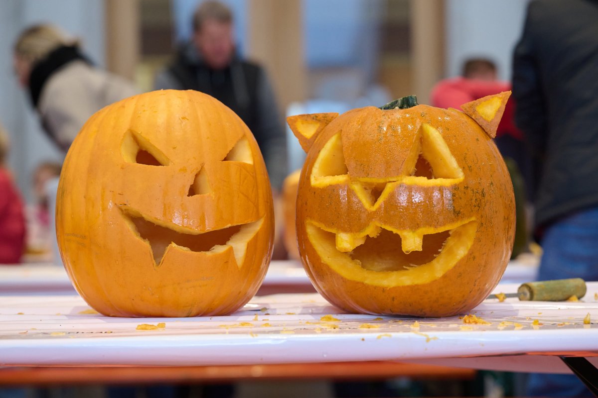 zam_20251025_koerbsafaescht_16636.jpg