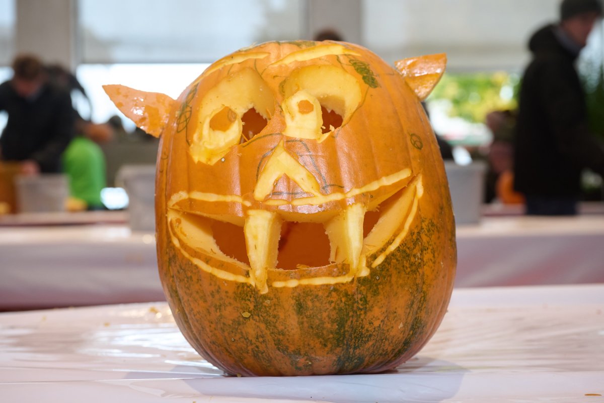 zam_20251025_koerbsafaescht_16543.jpg