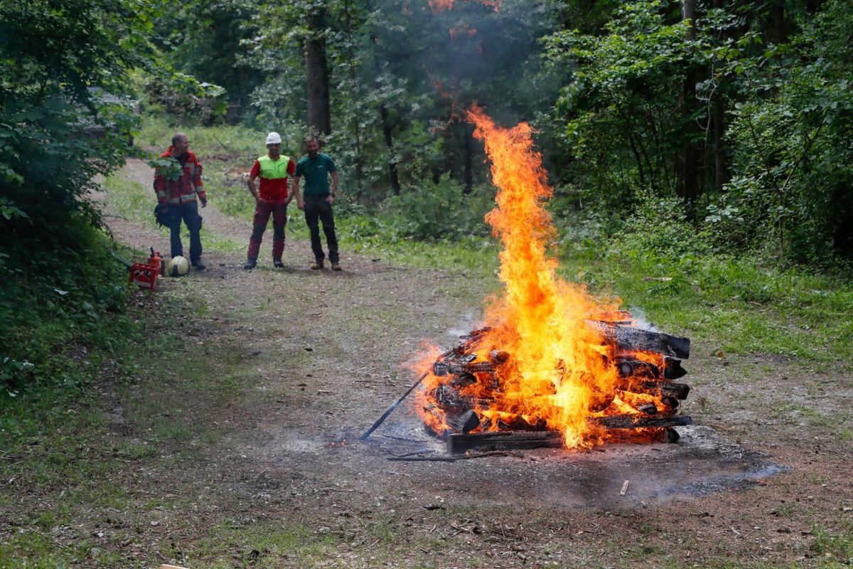 WALDTAG_RI_5797.jpg