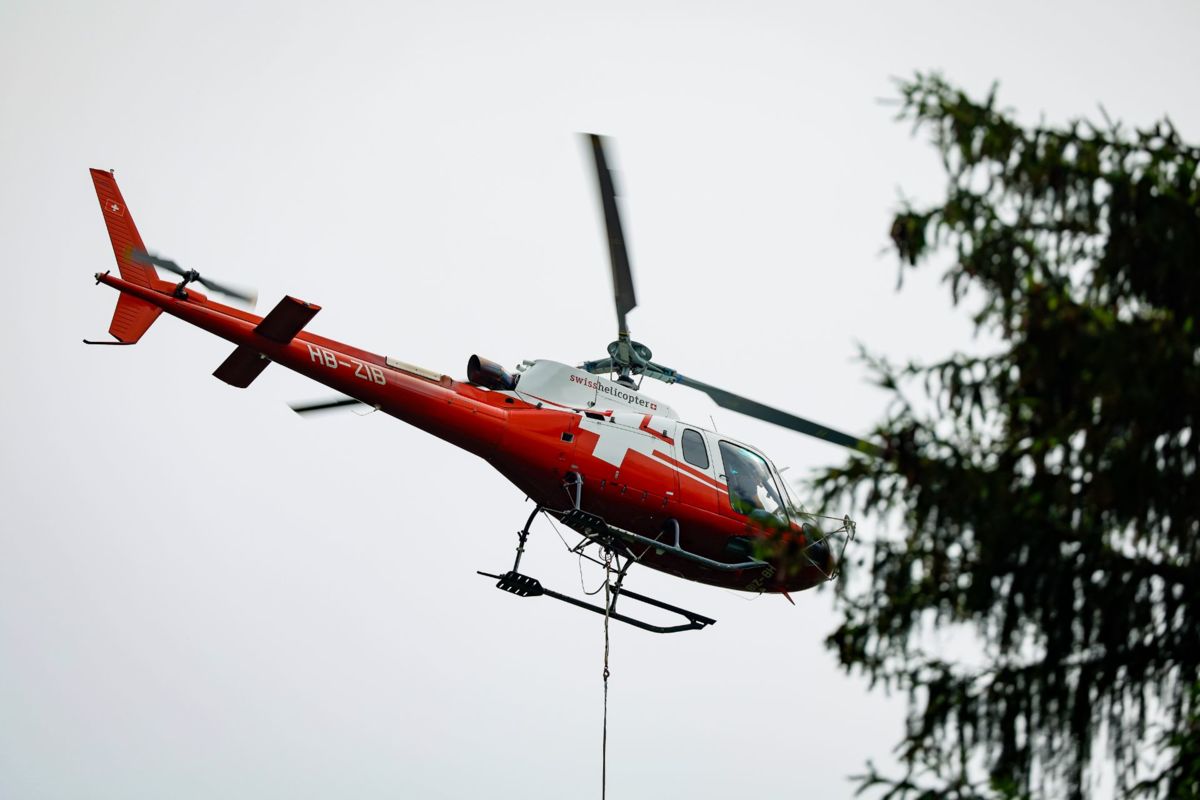 WALDTAG_ERI_0008.jpg