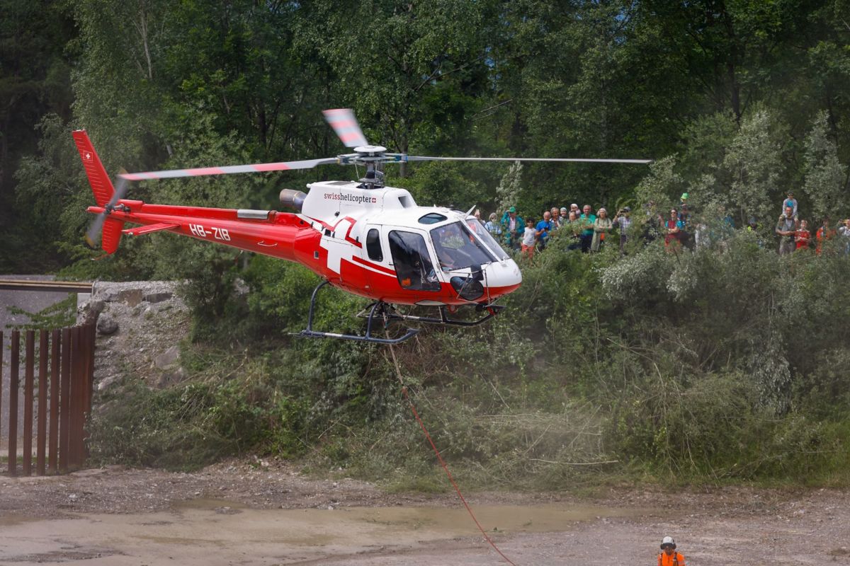 WALDTAG_ERI_9656.jpg