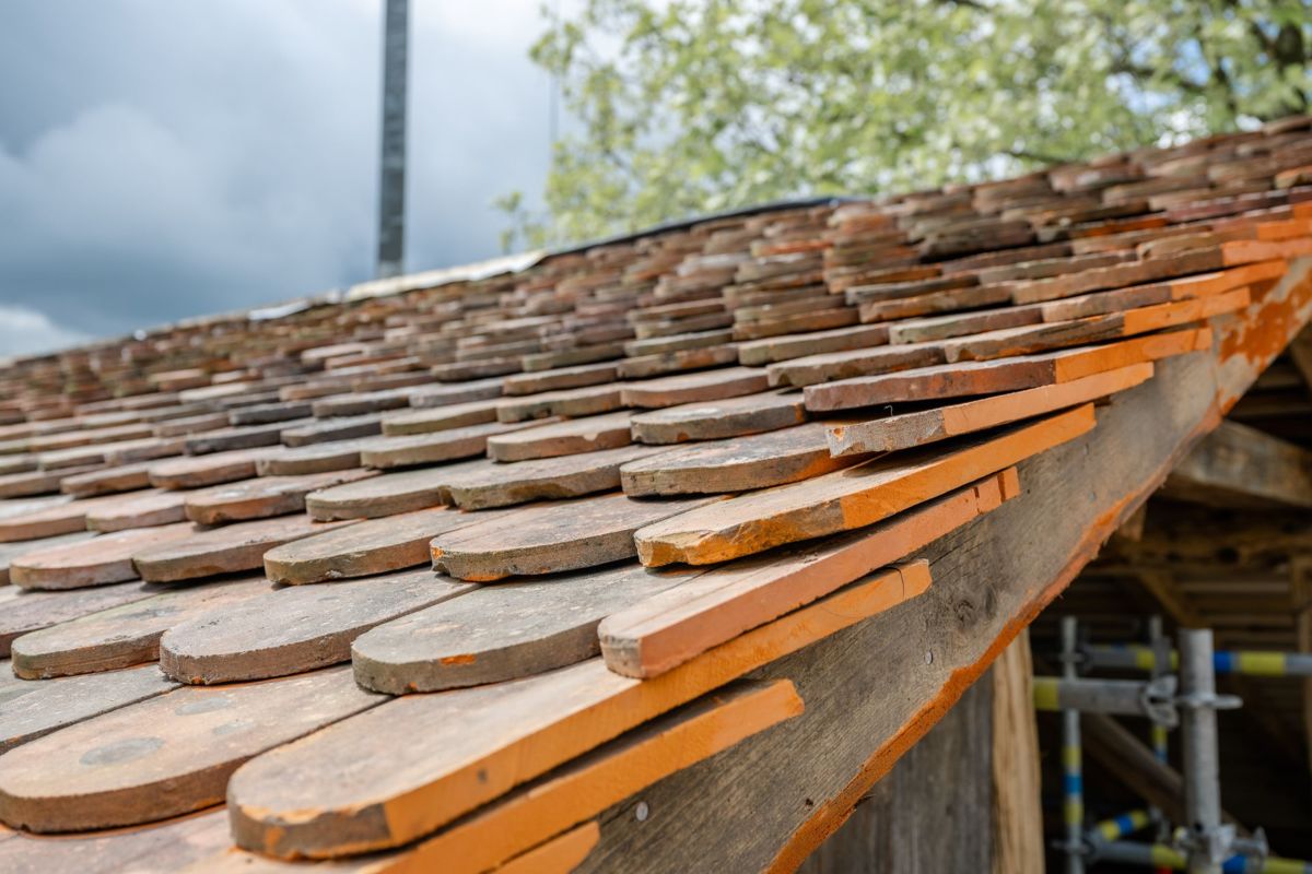 2023-05-15-Baureportage-Torkel-Schaan-0157.JPG