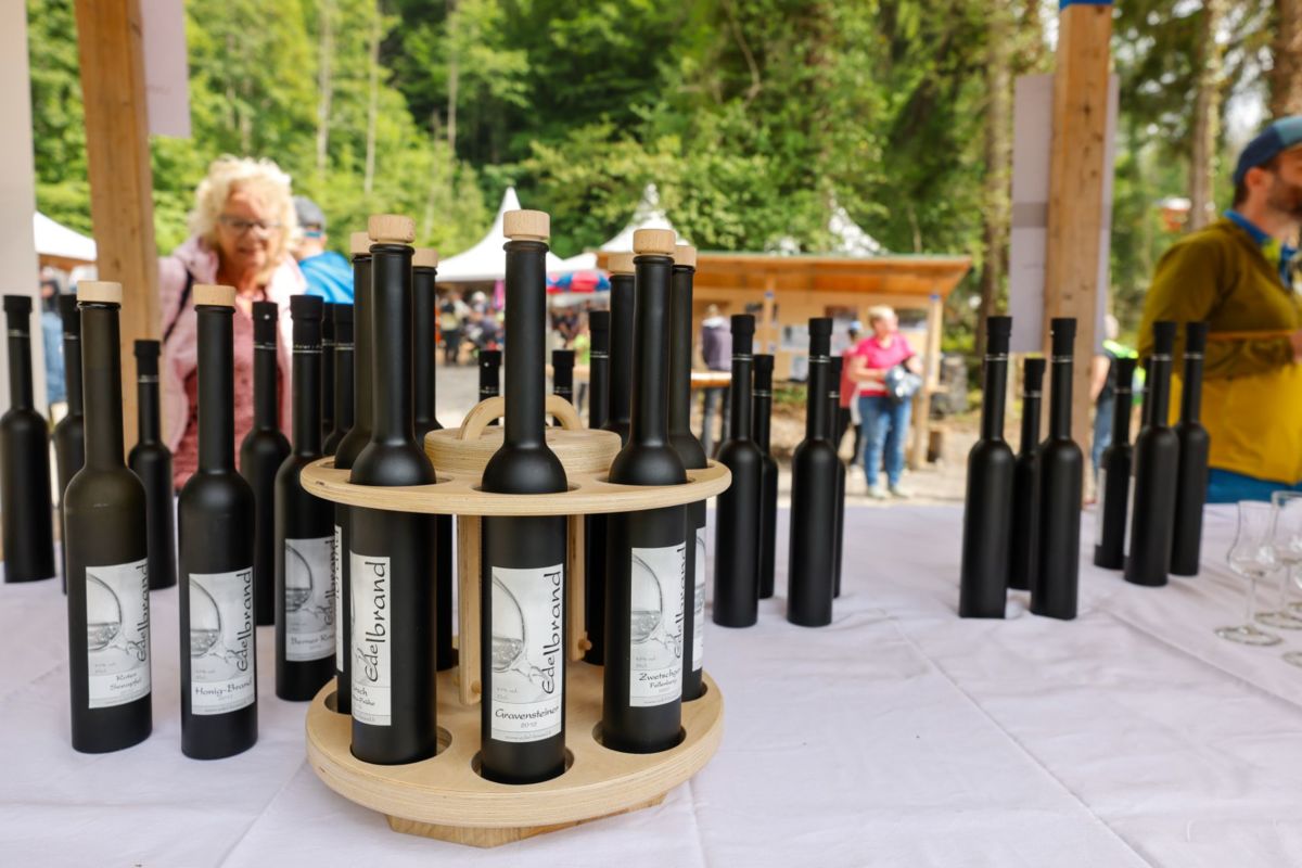 WALDTAG_RI_0405.jpg