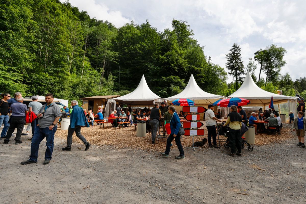 klein_WALDTAG_RI_0353.jpg