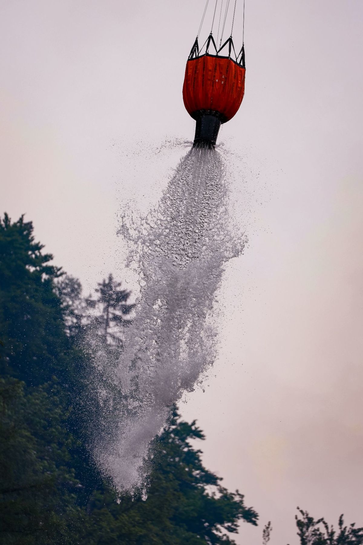 WALDTAG_ERI_9929.jpg